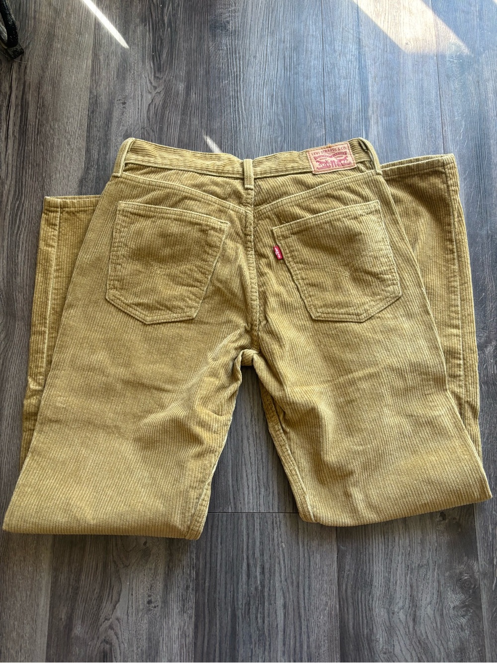 Levi Corduroy Pant - Picture 2 of 6